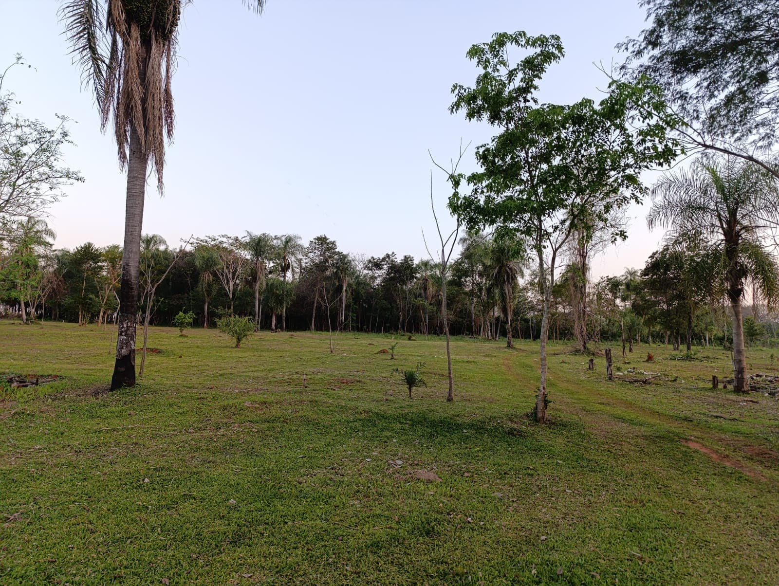 Quintas Caroveni - 3