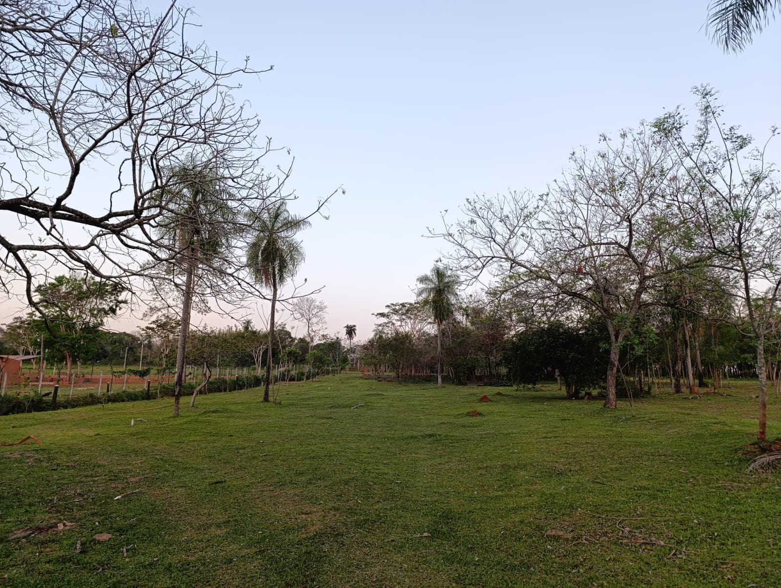 Plano de Quintas Caroveni